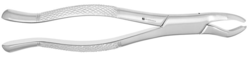 Forceps Upper Molars (Sky Choice)