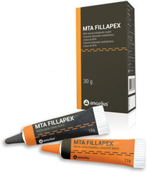 MTA-FILLAPEX Root Canal Sealer