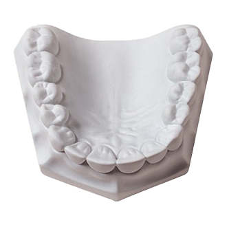 Orthodontic Plaster 33Lbs (Whipmix)